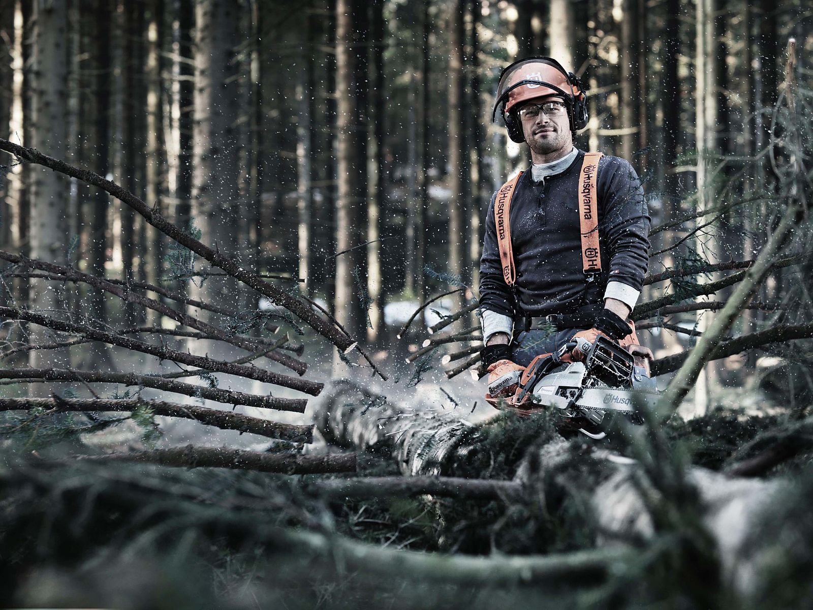 A chainsaw being used by Hecht Gartentechnik